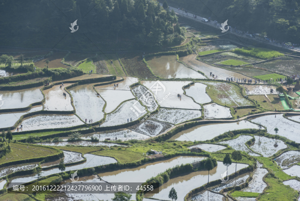 梯田