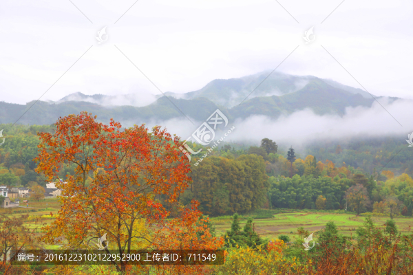 塔川秋色