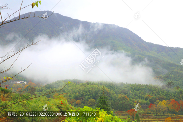 山中云霧