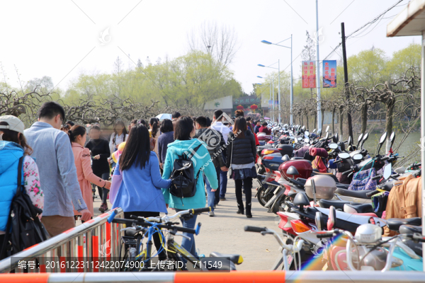 進入景區(qū)的游人,春游