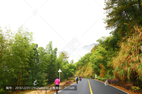 塔川道路游人