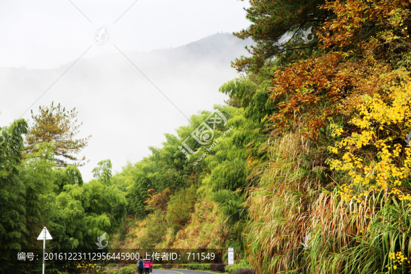 山林秋色