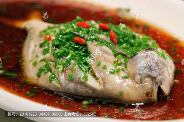 鯧魚