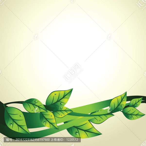 向量的綠葉