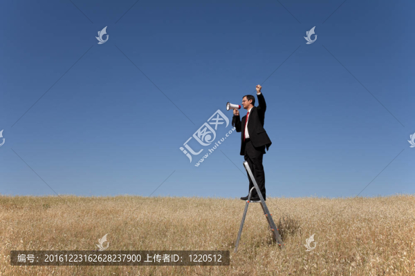 室外揚(yáng)聲器