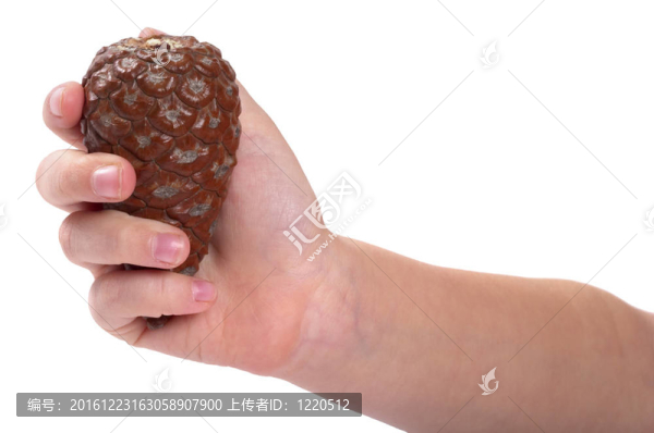 拿松果