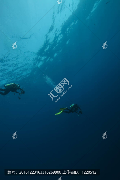 潛水員攝影師和海洋