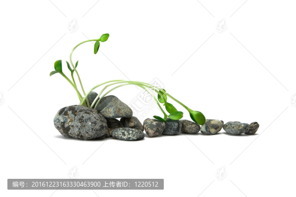 通過嚴峻的條件