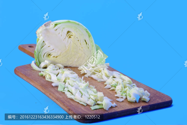 甘藍自交系