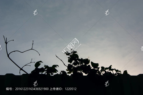 夜的背景