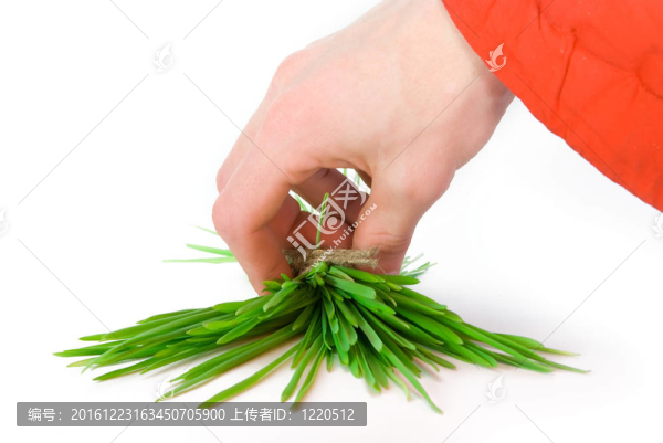 一束草