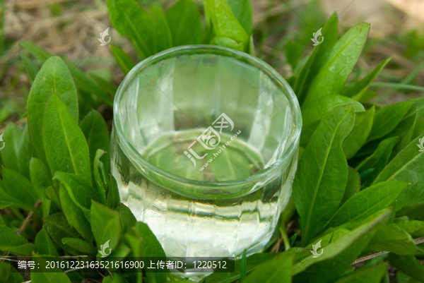 春天的水