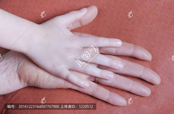 攜手愛家庭標(biāo)志