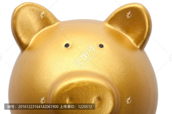 金色的小豬存錢罐