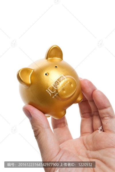 金色的小豬存錢罐