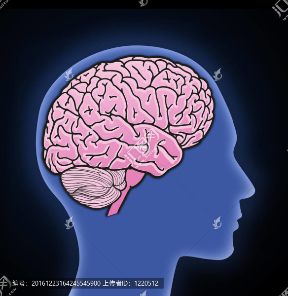 人腦插圖
