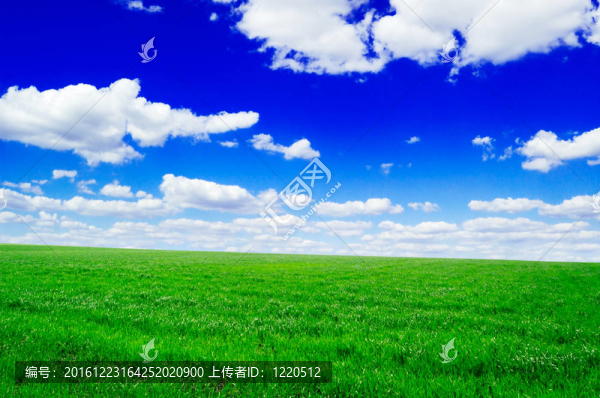 領(lǐng)域