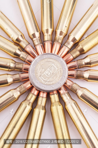 5.56mm墨盒