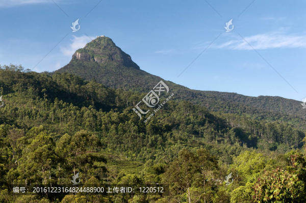 亞當(dāng)山的峰/,Sri,Pada