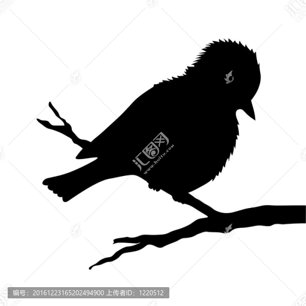 白色背景上樹枝上的鳥剪影
