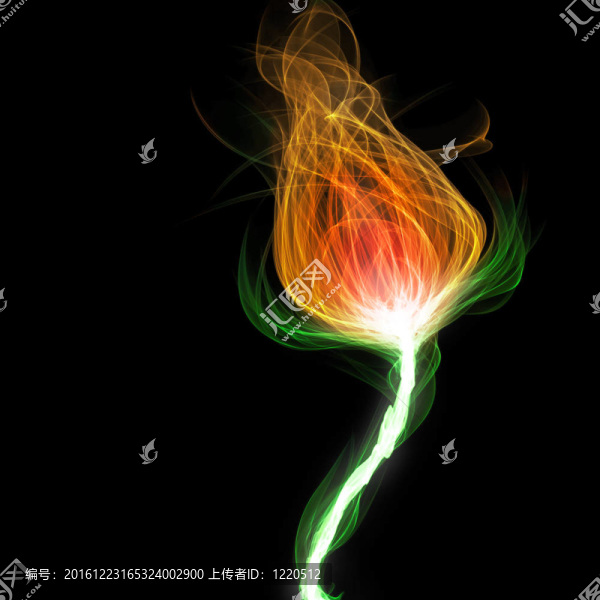 火紅的花朵