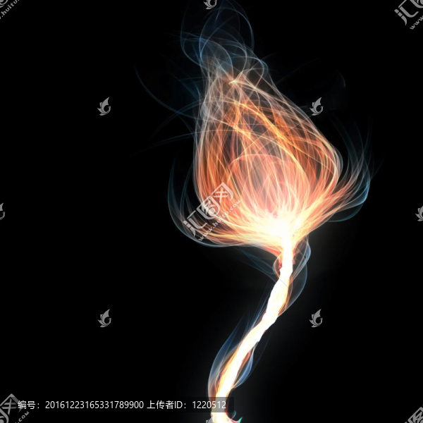 發(fā)光的花
