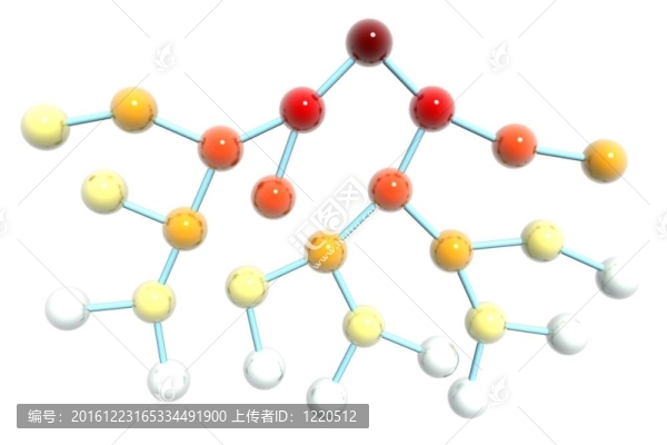 業(yè)務(wù)網(wǎng)絡(luò)