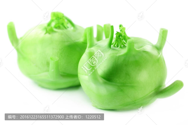 德國的蘿卜