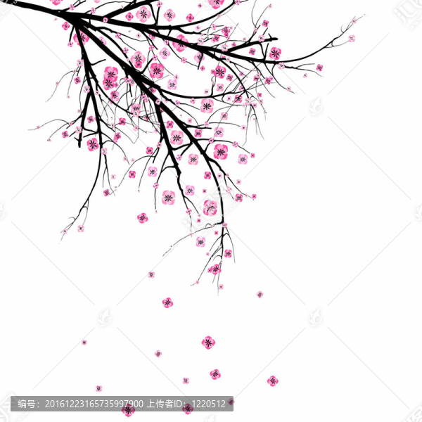 盛開的櫻花