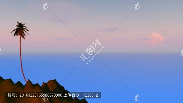 島上的椰子樹
