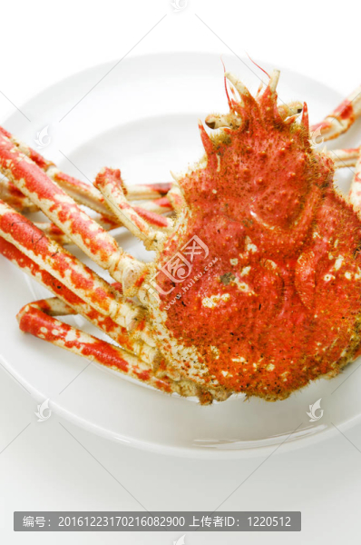 巨蟹