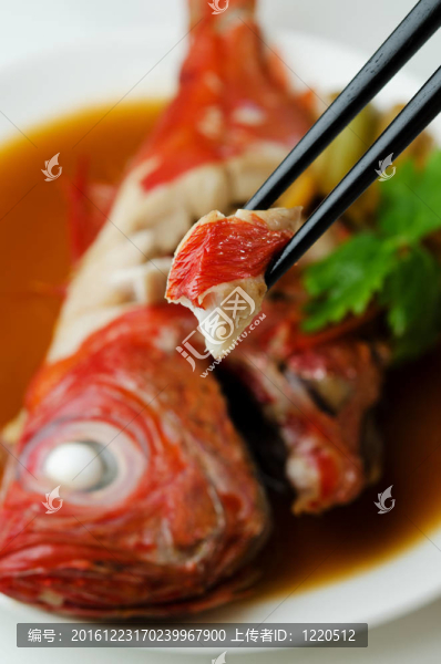 在醬油金眼鯛