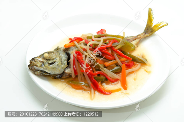 菜魚