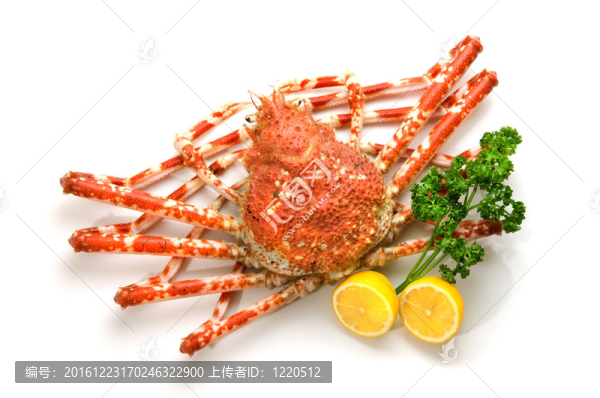 巨蟹