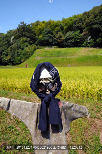 稻草人