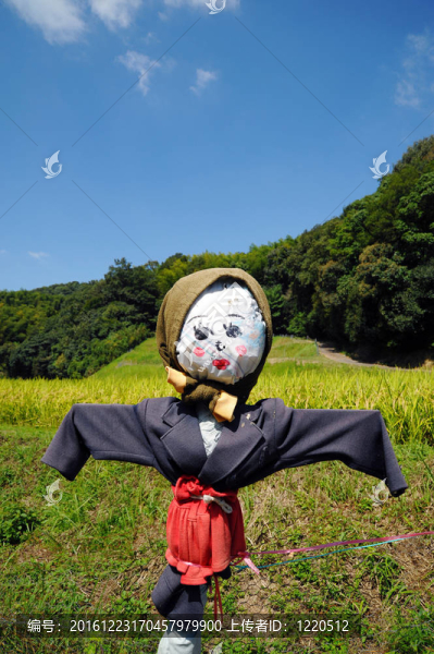 稻草人