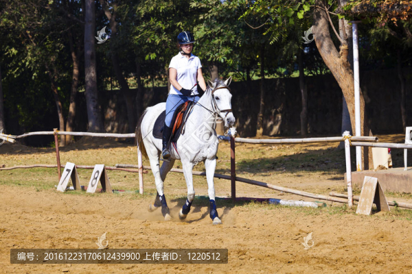 女騎手在騎馬過程中訓(xùn)練馬