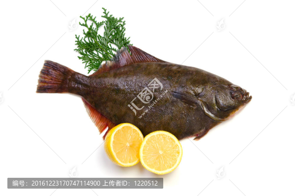 比目魚