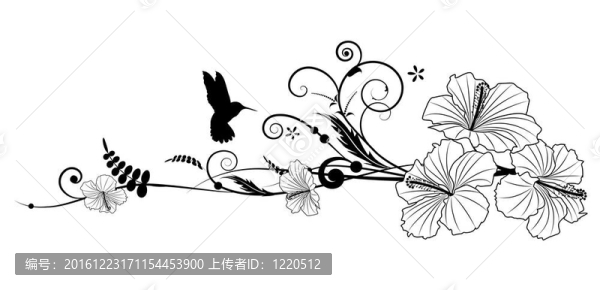 芙蓉和蜂鳥