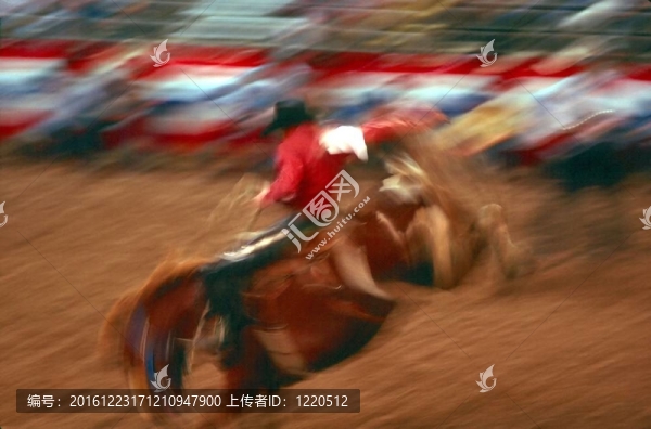 牛仔競技比賽