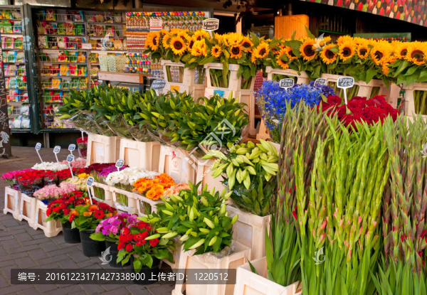 市中心花卉市場(chǎng)