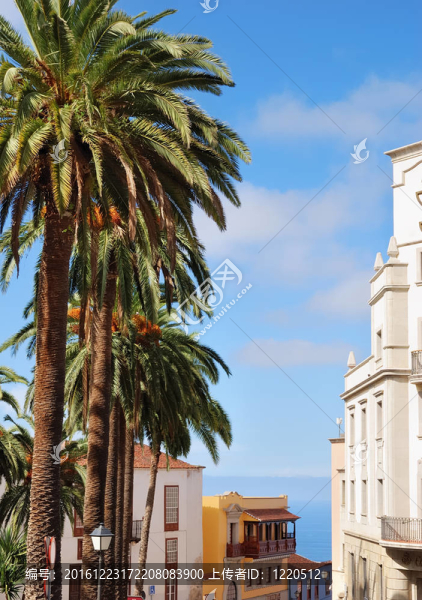 街景；La,Orotava