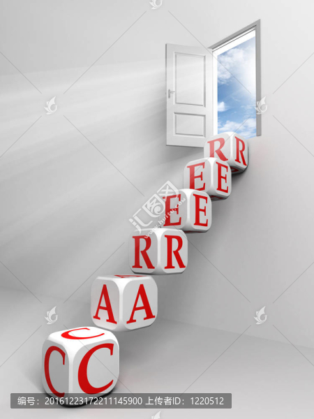 職業(yè)概念的門