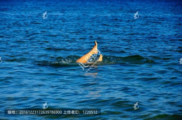 水中年輕女子的腳