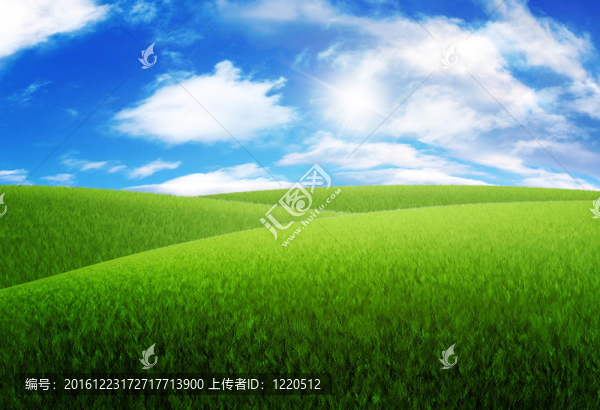 草地上