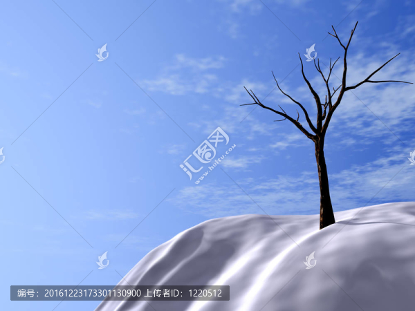 白雪覆蓋的山丘；明亮的藍(lán)天和沉睡的樹木