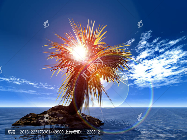 單掌上無人島上日落的太陽
