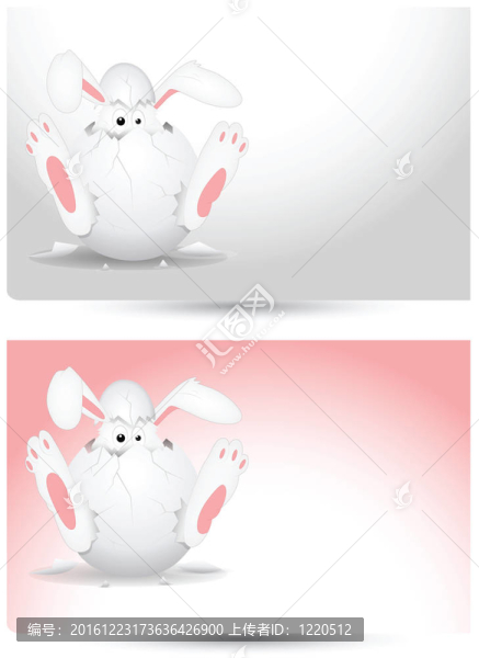 蛋中的新生小雞