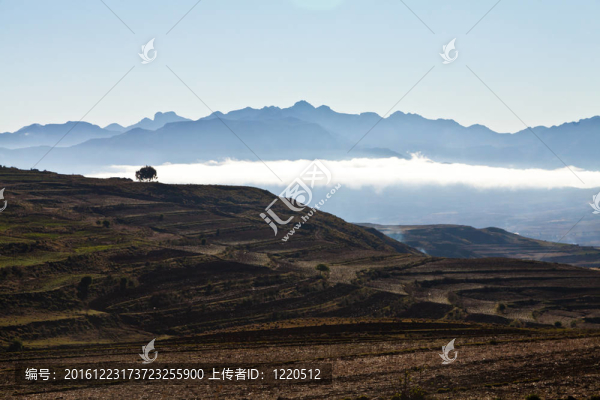 荒山山水與樹