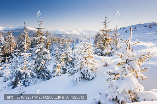 冬季景觀